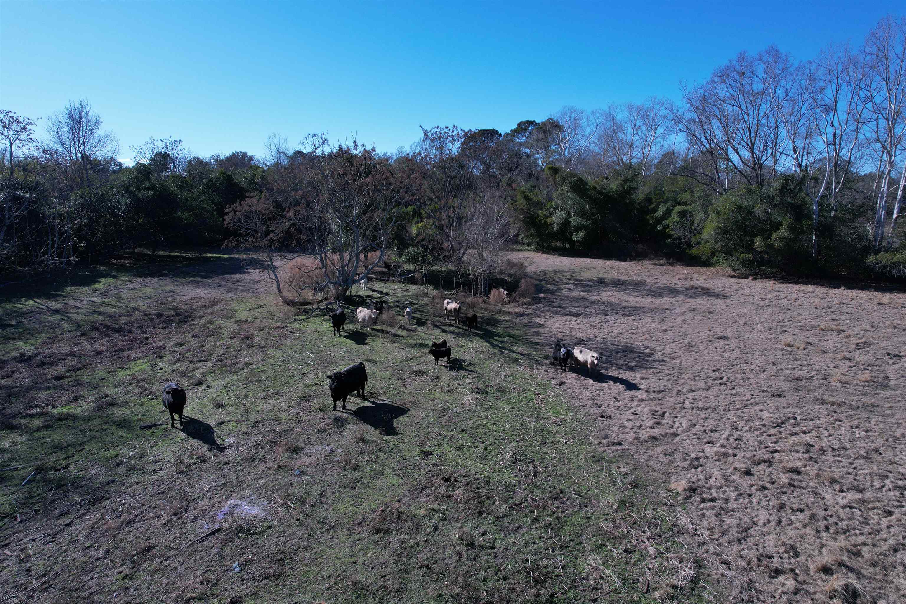 10686 Scott Avenue Manning, SC 29102 - Photo 16 of 18