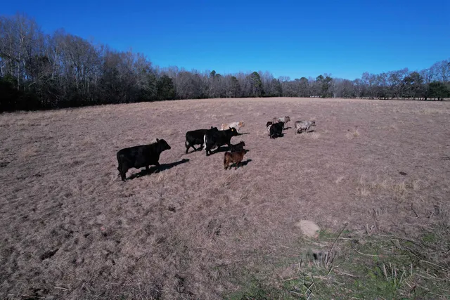 $335,000 | 10686 Scott Avenue, Manning, SC 29102