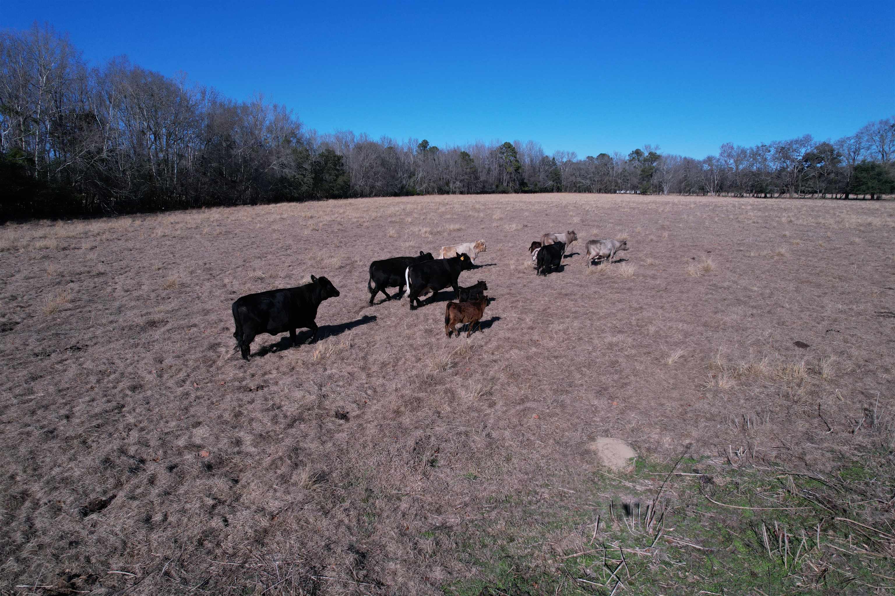 10686 Scott Avenue Manning, SC 29102 - Photo 17 of 18