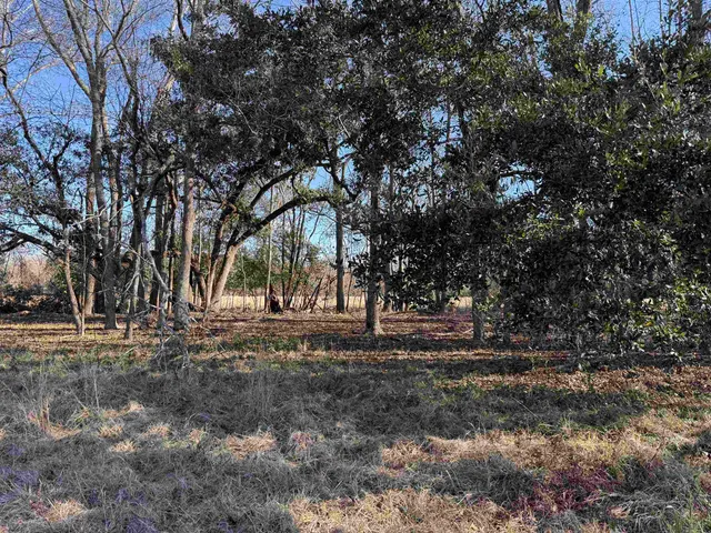 $335,000 | 10686 Scott Avenue, Manning, SC 29102