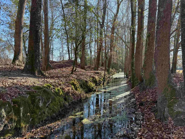 $335,000 | 10686 Scott Avenue, Manning, SC 29102