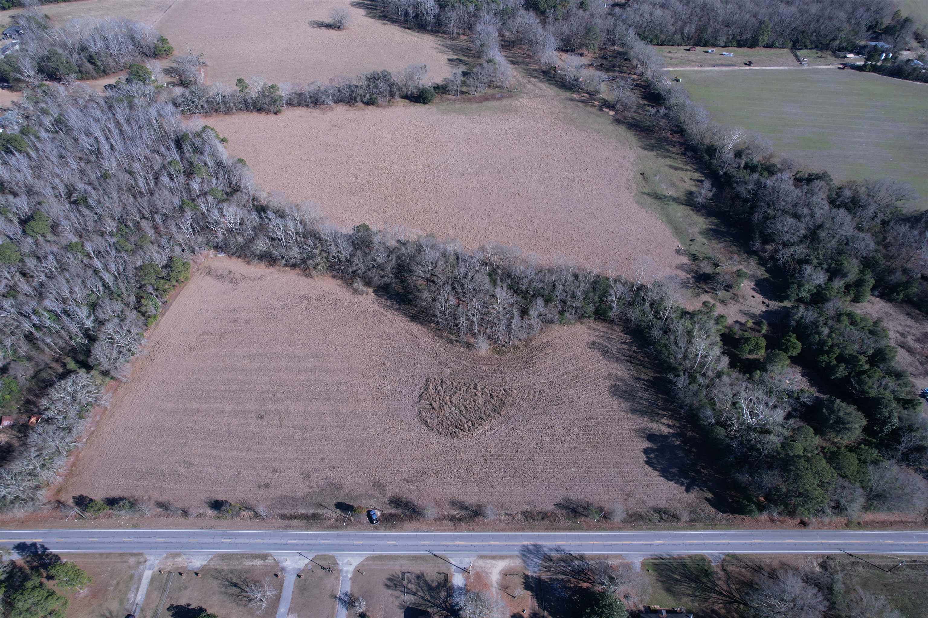 10686 Scott Avenue Manning, SC 29102 - Photo 5 of 18