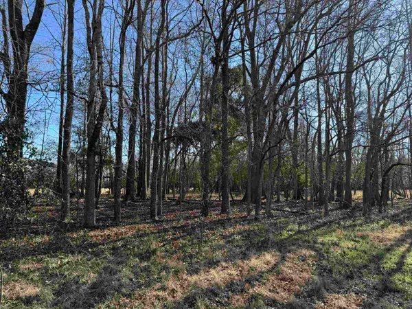 $335,000 | 10686 Scott Avenue, Manning, SC 29102