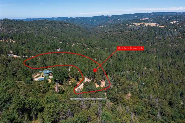 a view of a backyard with large tree