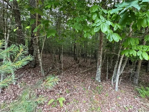 $23,000 | Tbd Live Oak Lane, Galax, VA 24333