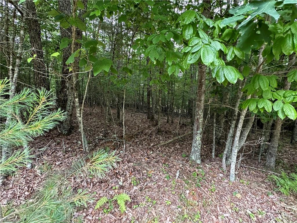 Tbd Live Oak Lane Galax, VA 24333 - Photo 1 of 4
