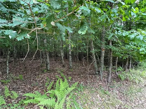 $23,000 | Tbd Live Oak Lane, Galax, VA 24333