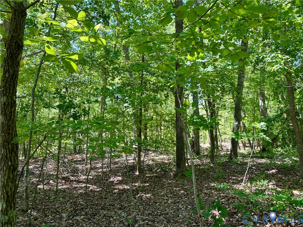 Lot 6 Buffalo Church Road Pamplin, VA 23958 - Photo 1 of 7 Gallery Image 1