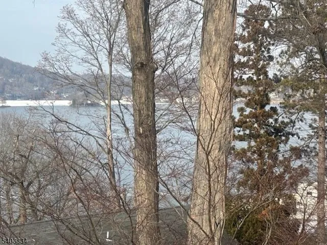 a view of trees with sky view