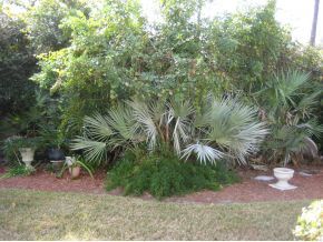 2104 Northeast Spring Creek Palm Bay, FL 32905 - Photo 11 of 11 Additional Photo