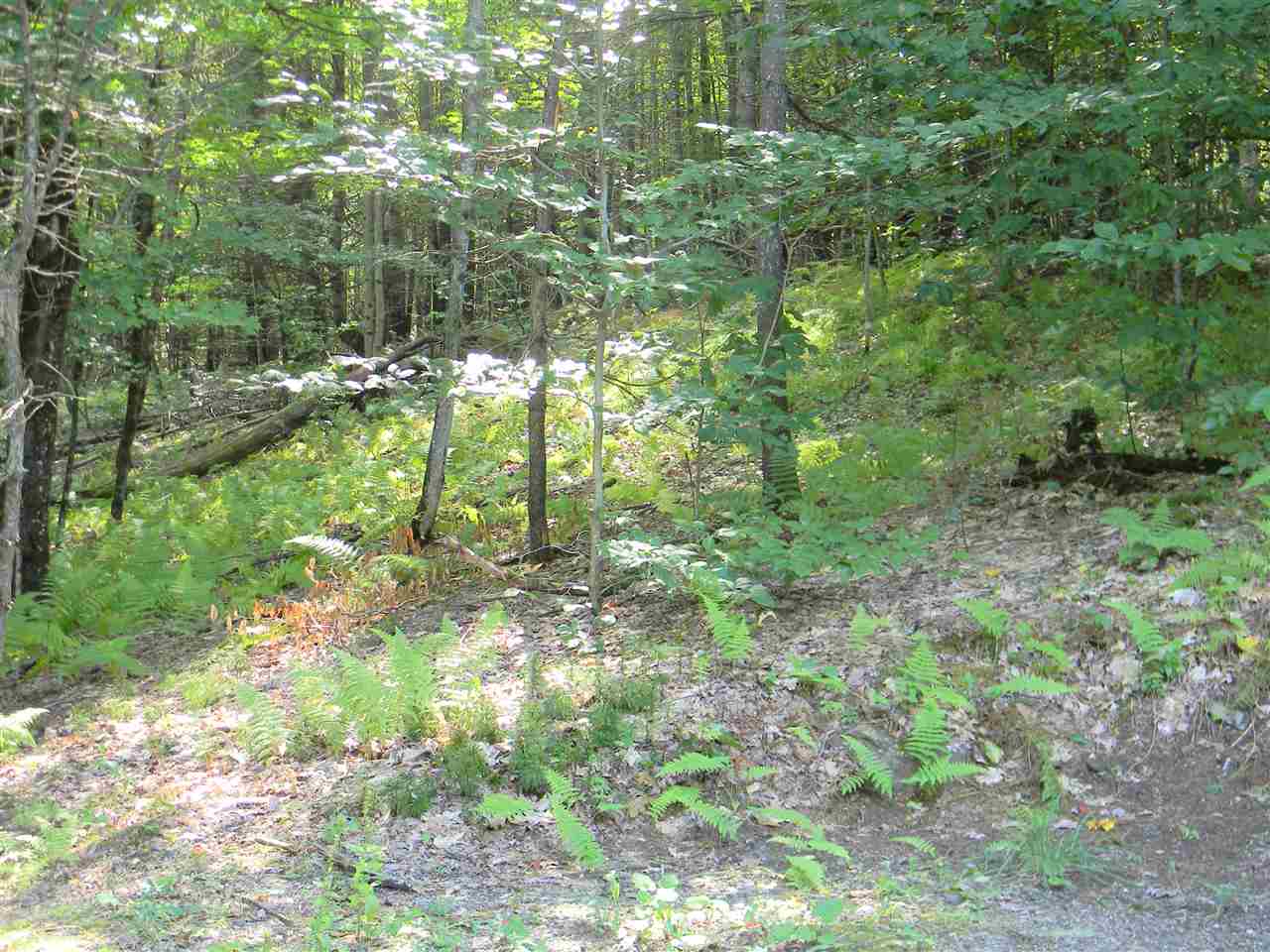 1262 South Hemlock Road Charlestown, NH 03603 - Photo 21 of 22 Gallery Image 21