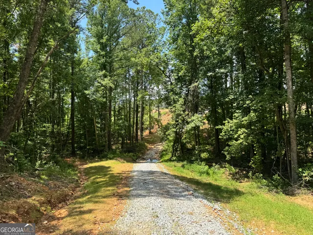 $1,421,940 | 319-ac Hwy 100, Franklin, GA 30217