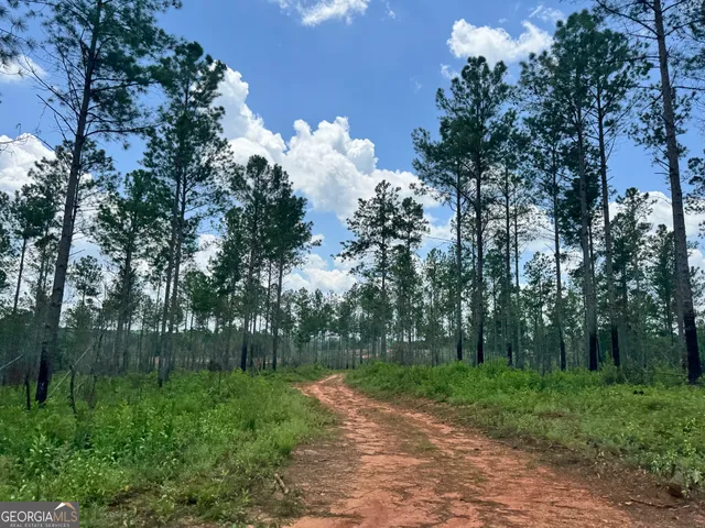 $1,421,940 | 319-ac Hwy 100, Franklin, GA 30217