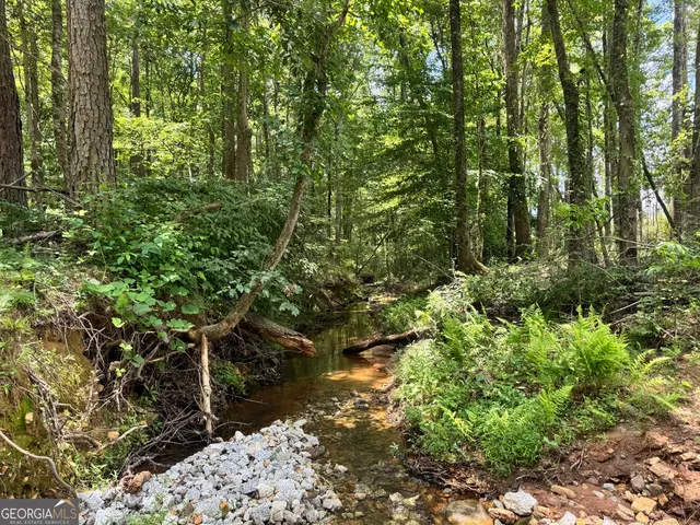 $1,421,940 | 319-ac Hwy 100, Franklin, GA 30217