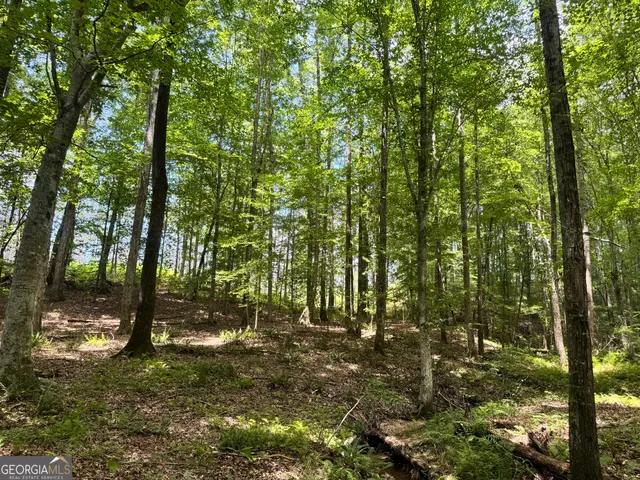 $1,421,940 | 319-ac Hwy 100, Franklin, GA 30217