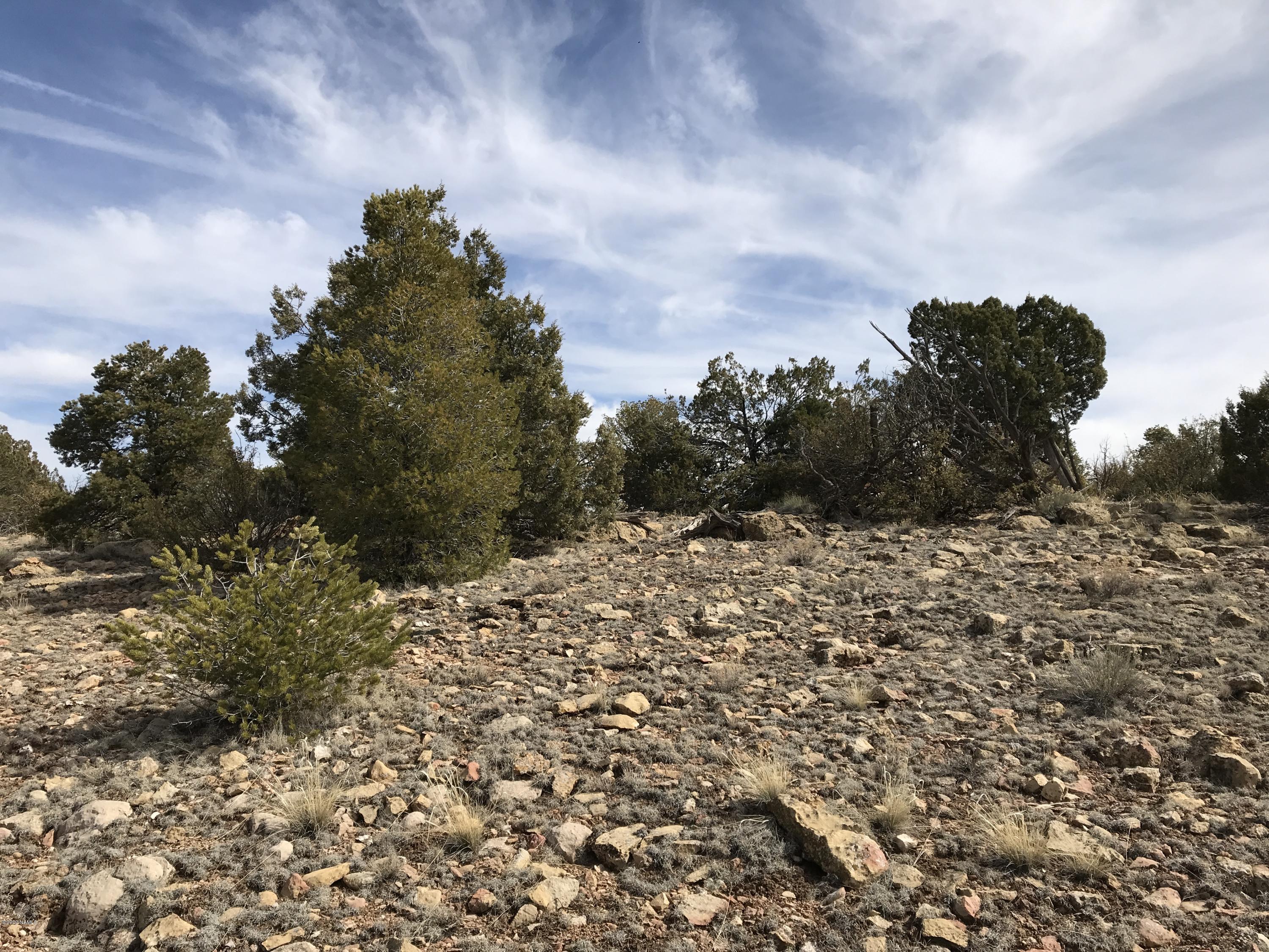 10654 West Red Bluff Road Williams, AZ 86046 - Photo 13 of 28 D13A64BE-79CA-41D2-868B-99EDAF9B21DE