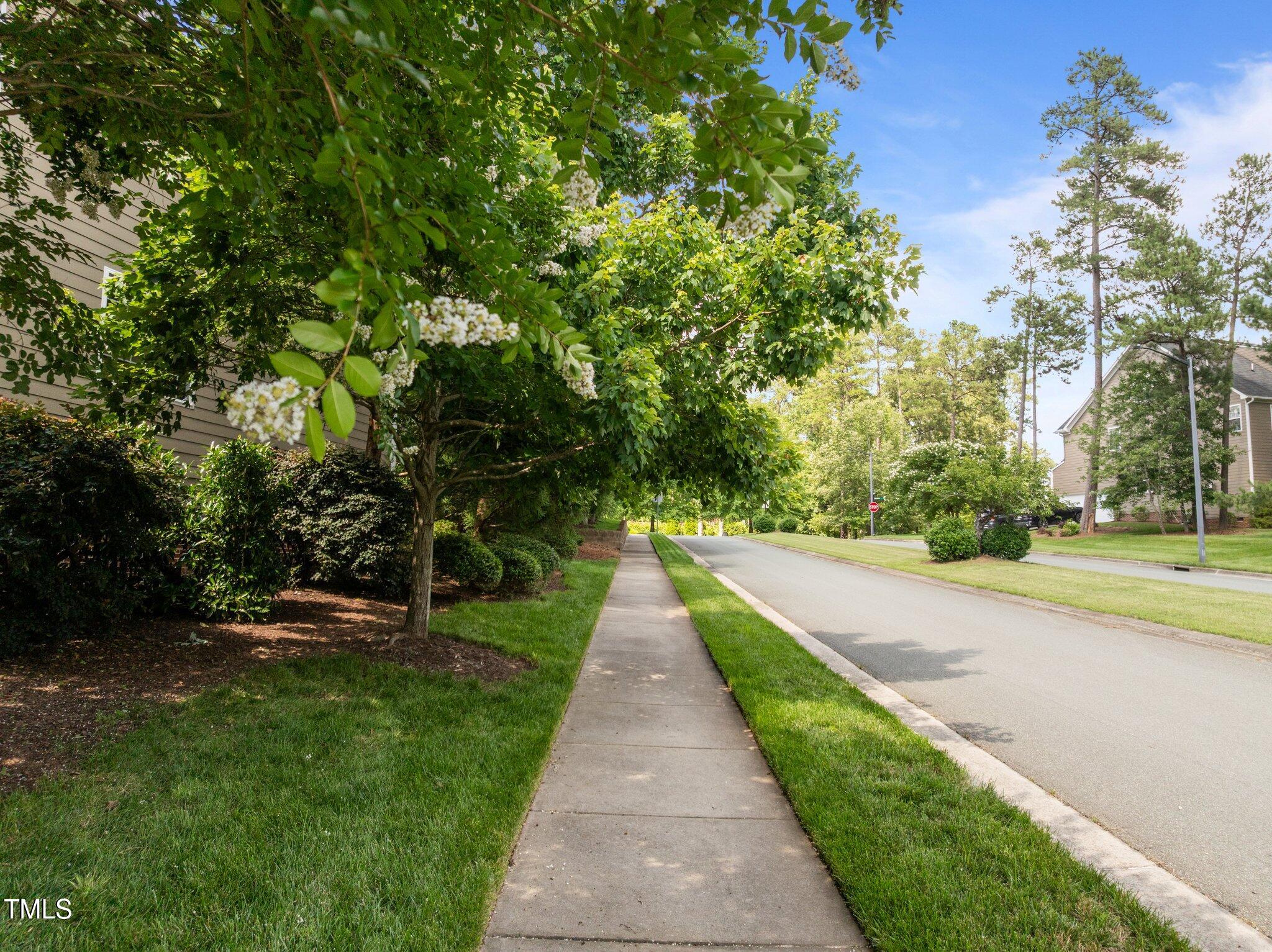 705 Harkness Circle Durham, NC 27705 - Photo 43 of 58 a view of park with large trees