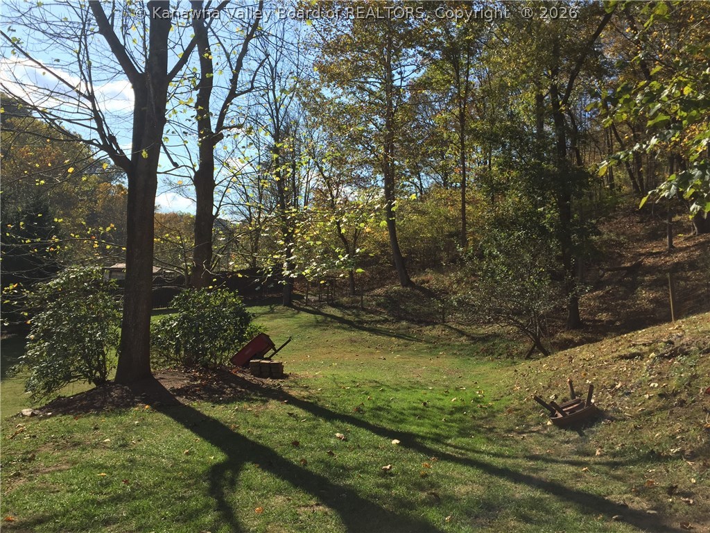 2891 Lower Creek Road Milton, WV 25541 - Photo 27 of 30 Gallery Image 27