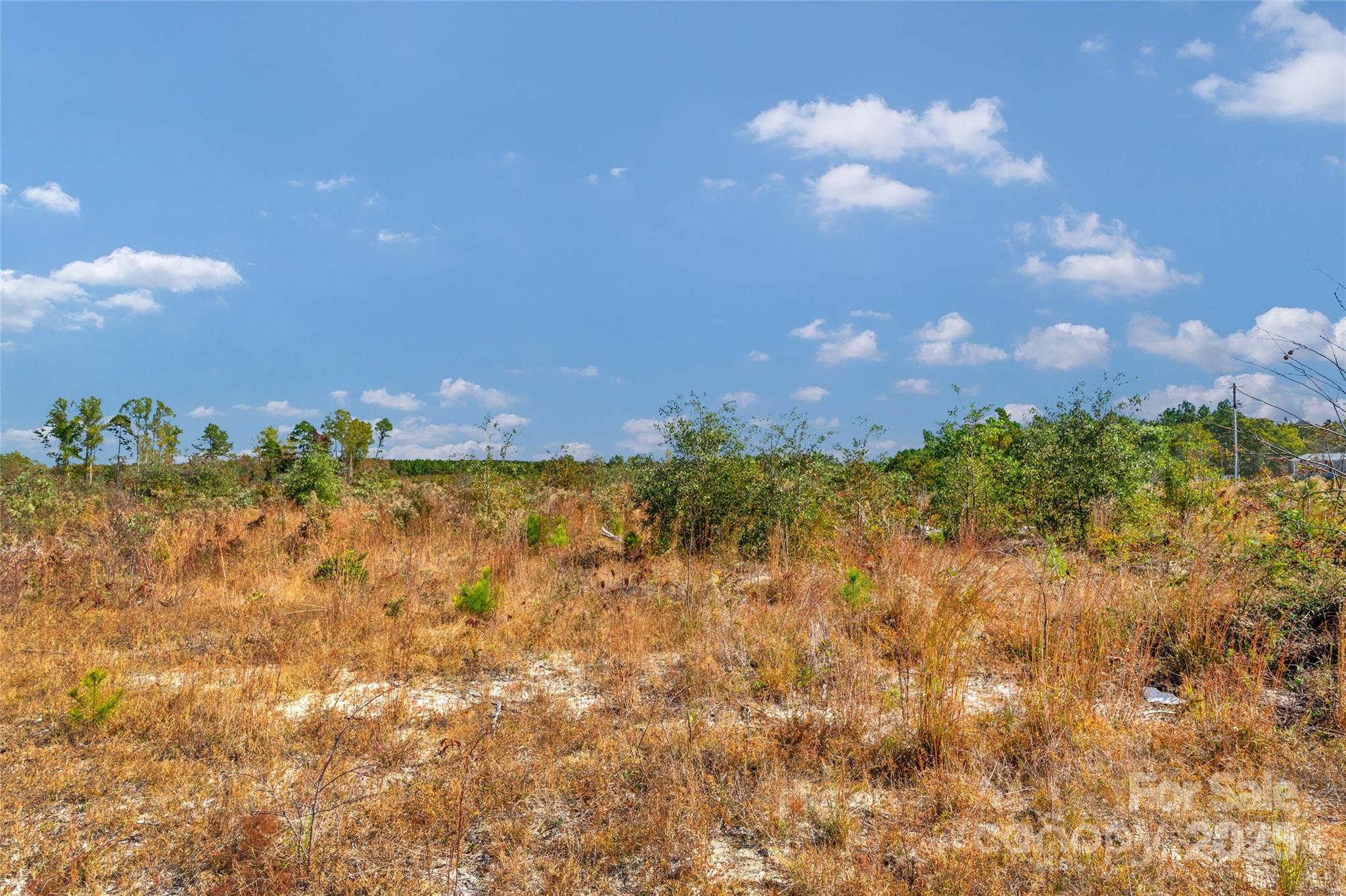 0 Riley Road, Unit 4 Chesterfield, SC 29709 - Photo 11 of 19 a view of a city