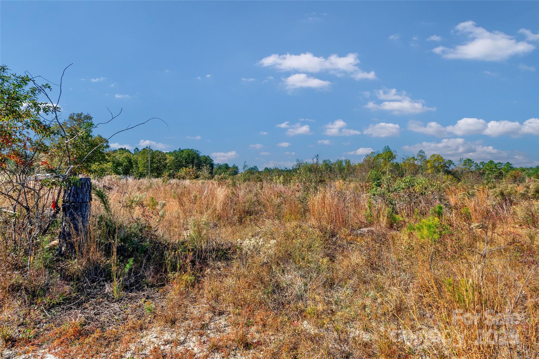 0 Riley Road, Unit 4 Chesterfield, SC 29709 - Photo 12 of 19 a view of lake with green space