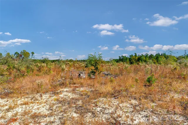 a view of a lake with a building in the background