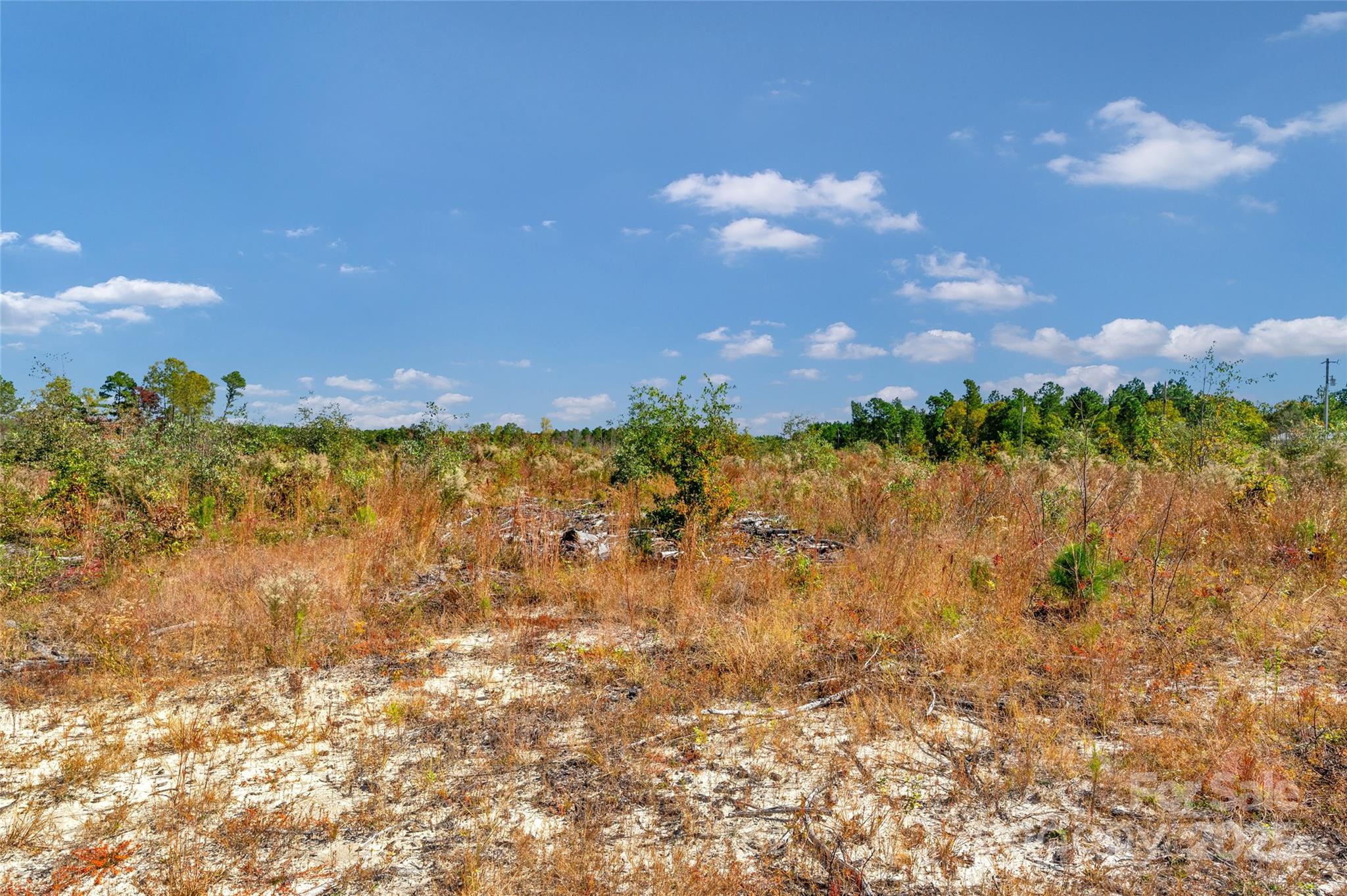 0 Riley Road, Unit 4 Chesterfield, SC 29709 - Photo 14 of 19