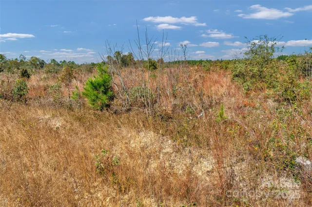 $92,000 | 0 Riley Road, Unit 4, Chesterfield, SC 29709