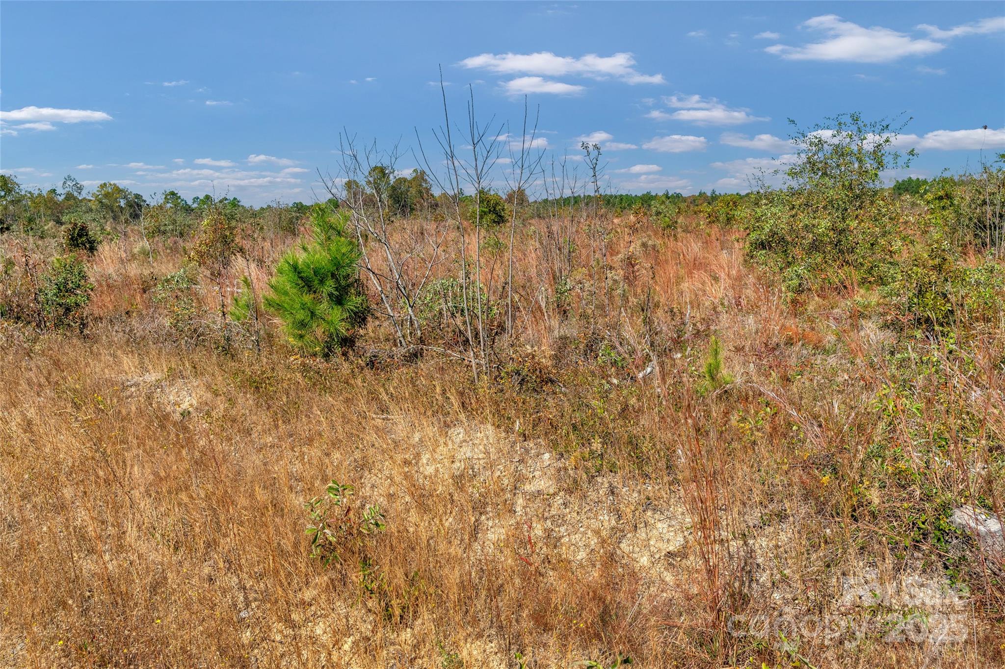 0 Riley Road, Unit 4 Chesterfield, SC 29709 - Photo 16 of 19 a view of a city