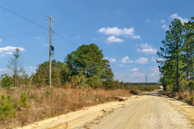 $92,000 | 0 Riley Road, Unit 4, Chesterfield, SC 29709