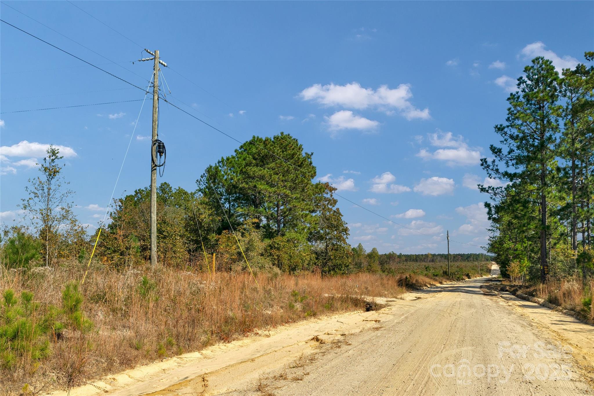 0 Riley Road, Unit 4 Chesterfield, SC 29709 - Photo 18 of 19 a view of a house with a snow in the yard