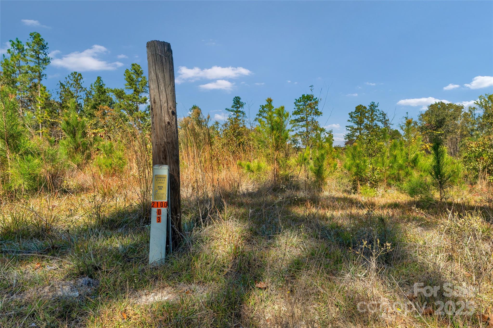 0 Riley Road, Unit 4 Chesterfield, SC 29709 - Photo 19 of 19 a view of a lake with a building in the background