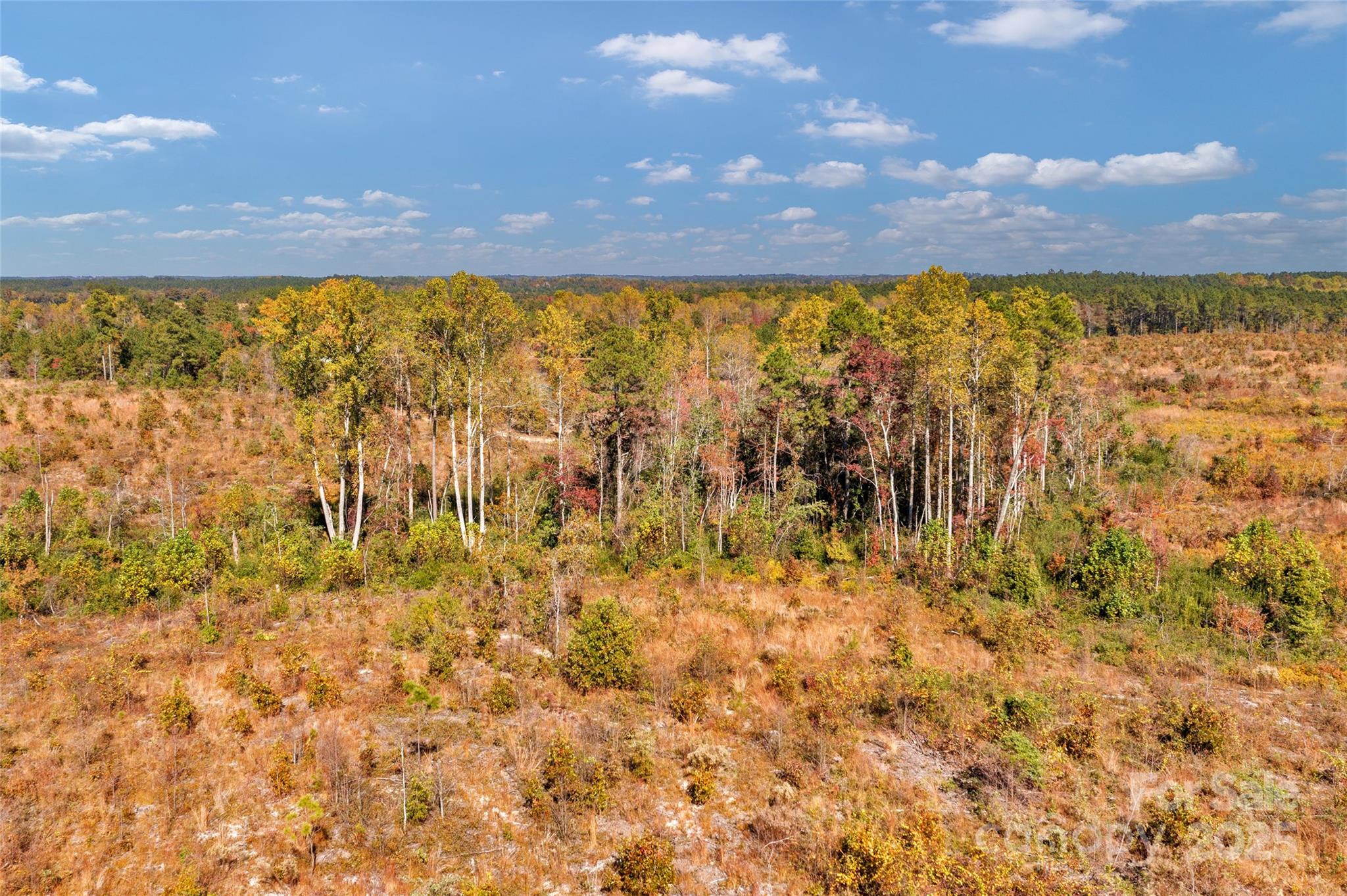 0 Riley Road, Unit 4 Chesterfield, SC 29709 - Photo 3 of 19