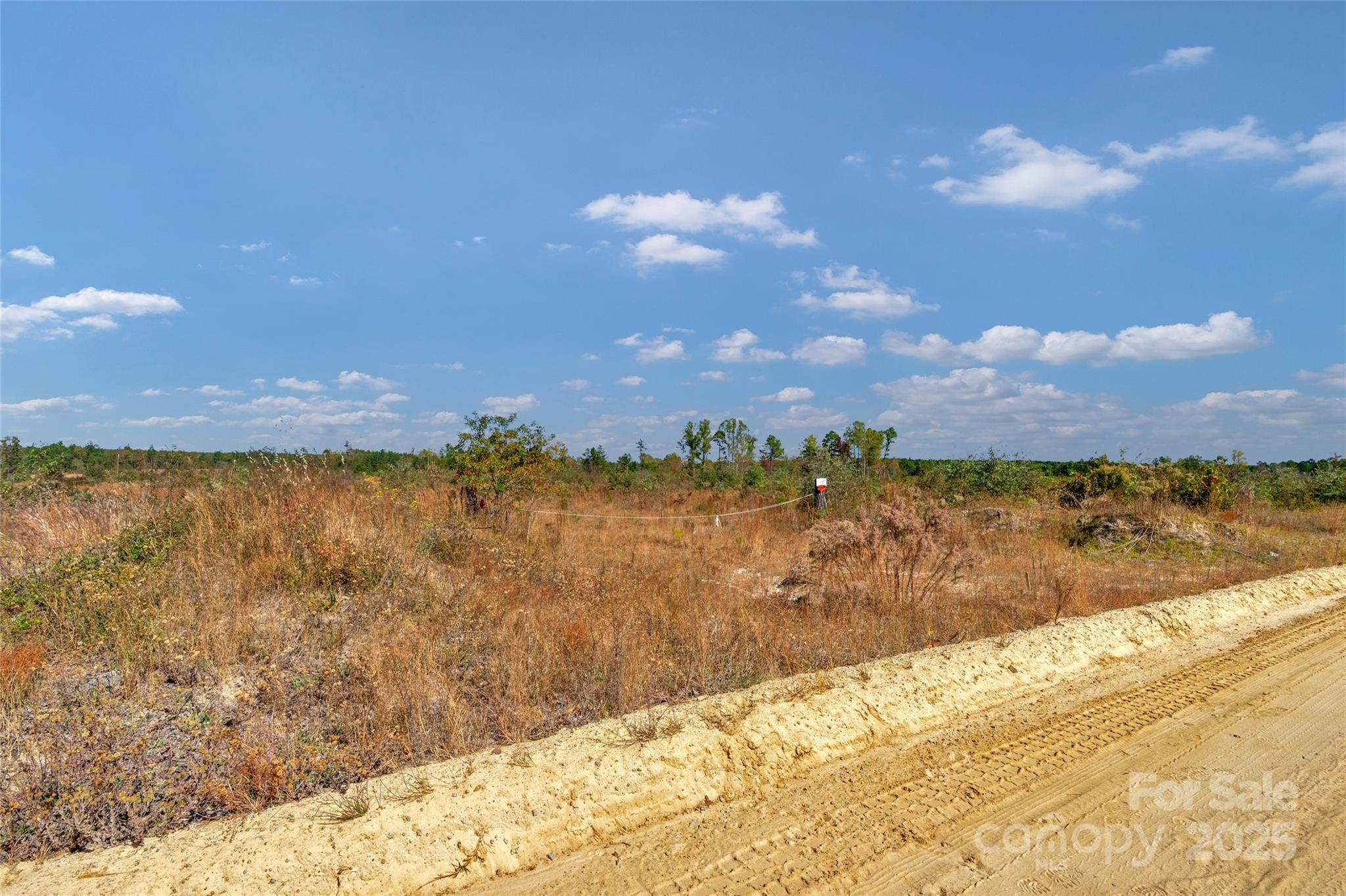 0 Riley Road, Unit 4 Chesterfield, SC 29709 - Photo 7 of 19