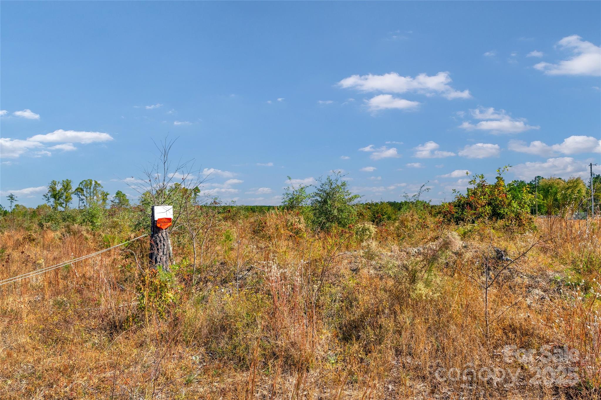 0 Riley Road, Unit 4 Chesterfield, SC 29709 - Photo 9 of 19 a view of a city