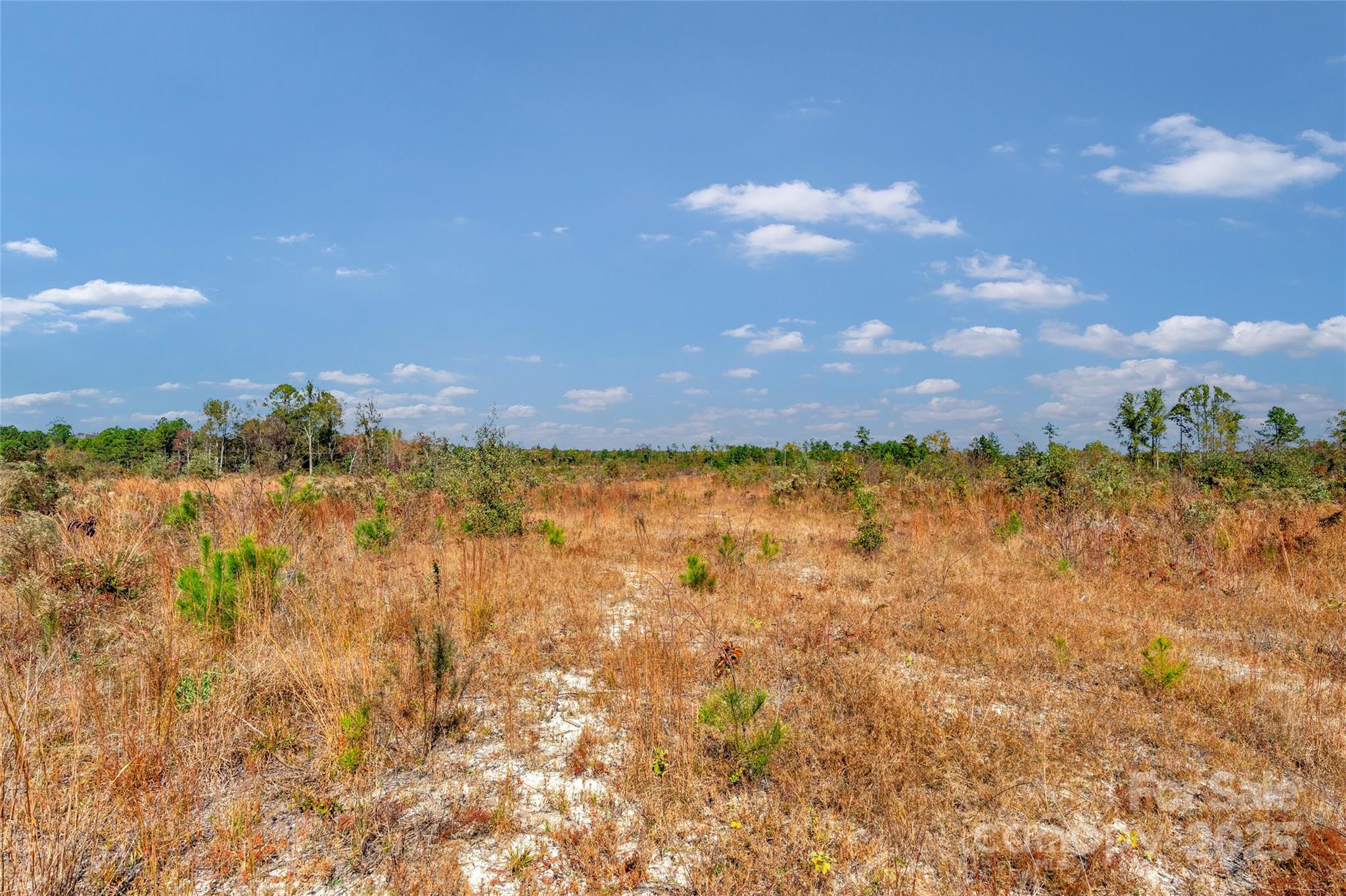 0 Riley Road, Unit 4 Chesterfield, SC 29709 - Photo 10 of 19 a view of a lake
