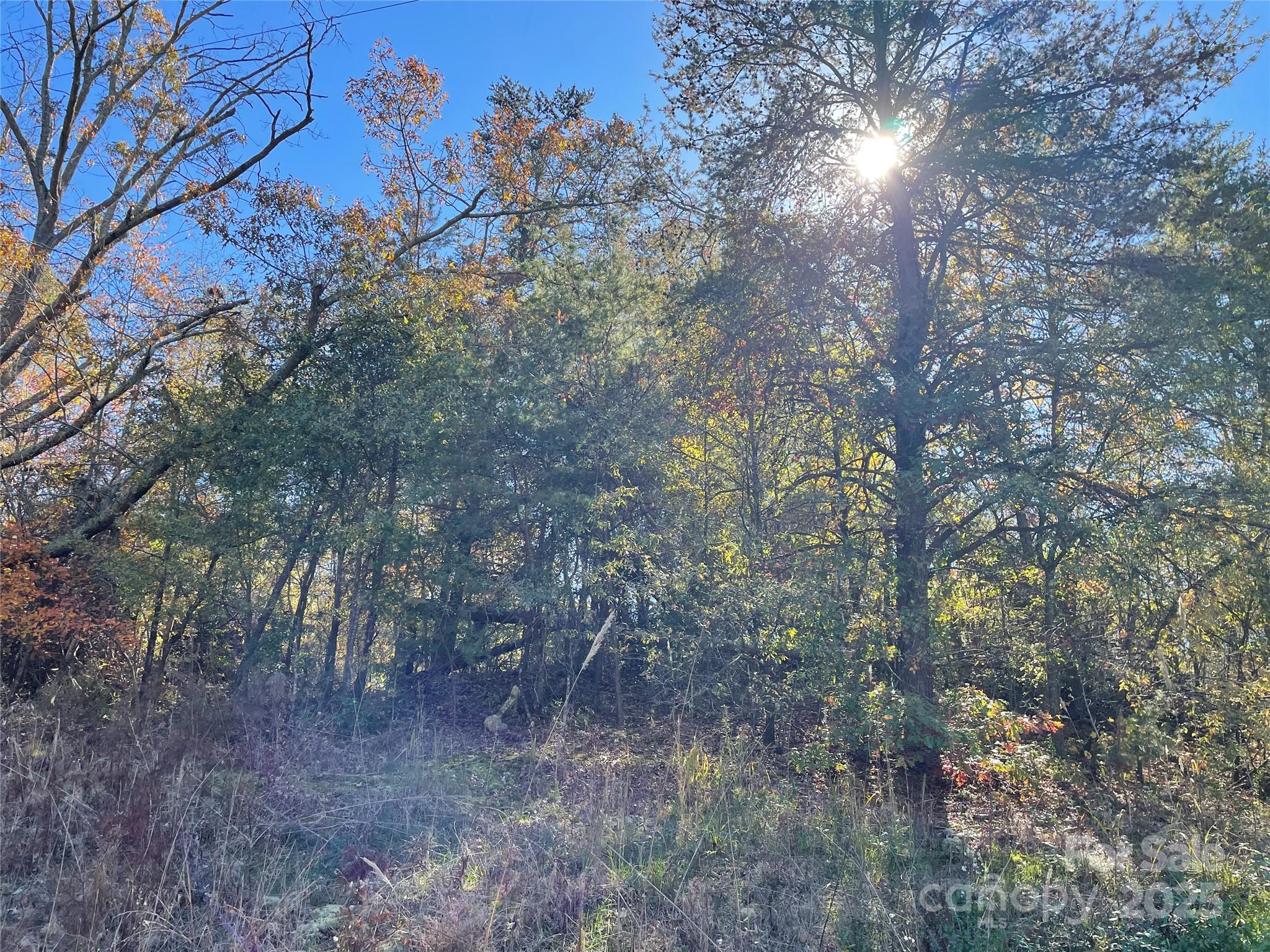 0 Green Acres Road Mooresboro, NC 28114 - Photo 2 of 3 a view of a forest with trees in the background