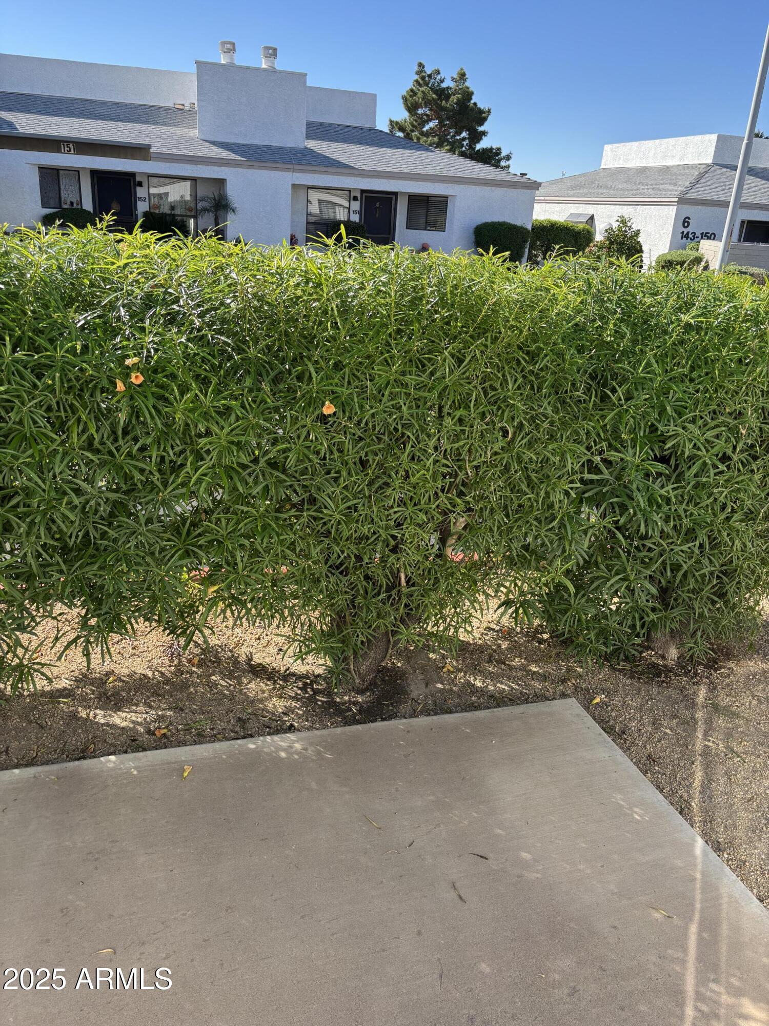 1444 North Recker Road, Unit 163 Mesa, AZ 85205 - Photo 9 of 19 a view of a house with a street