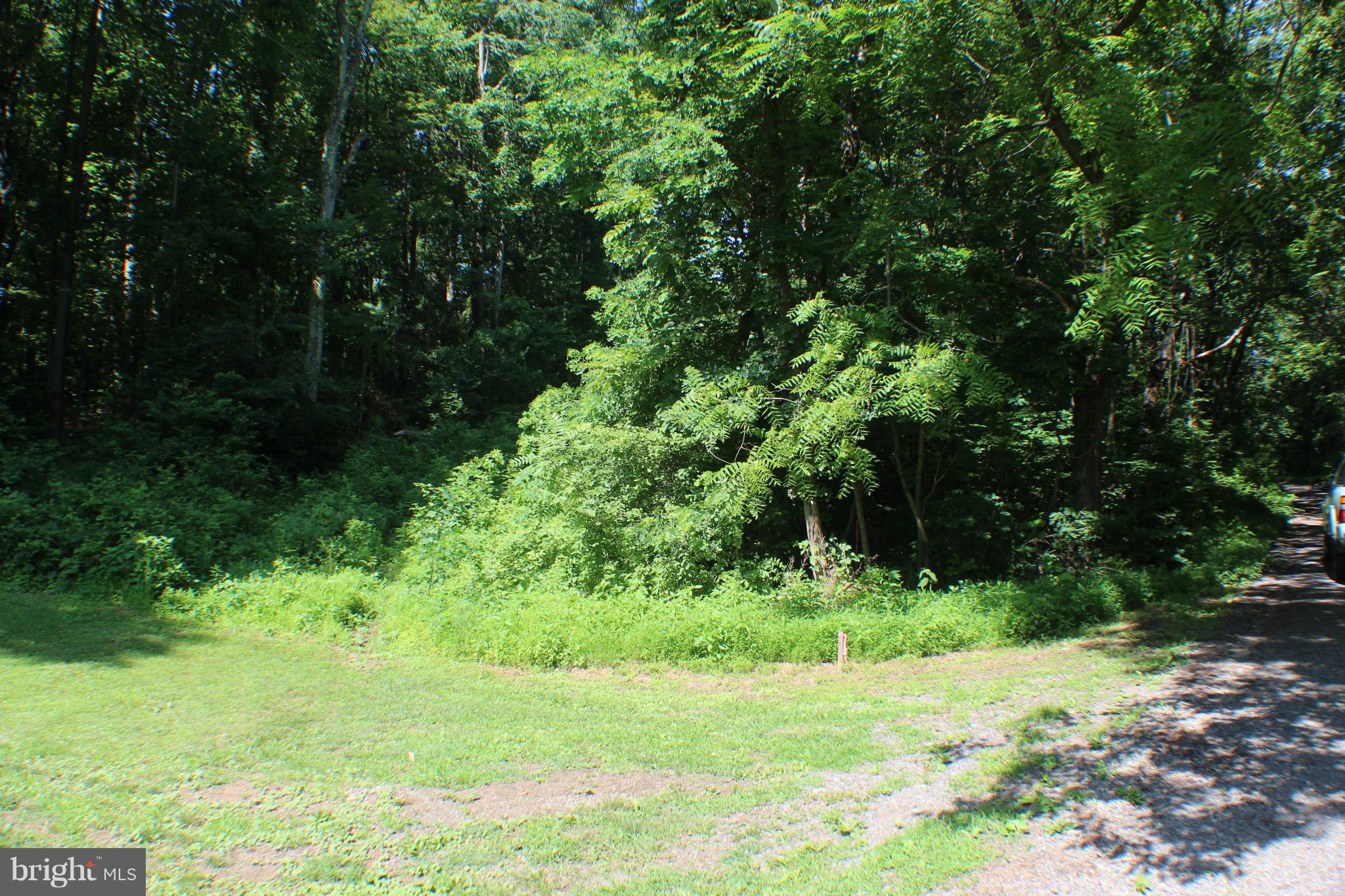 Mt Paran Church Road Linden, VA 22642 - Photo 1 of 7 Exterior (General)