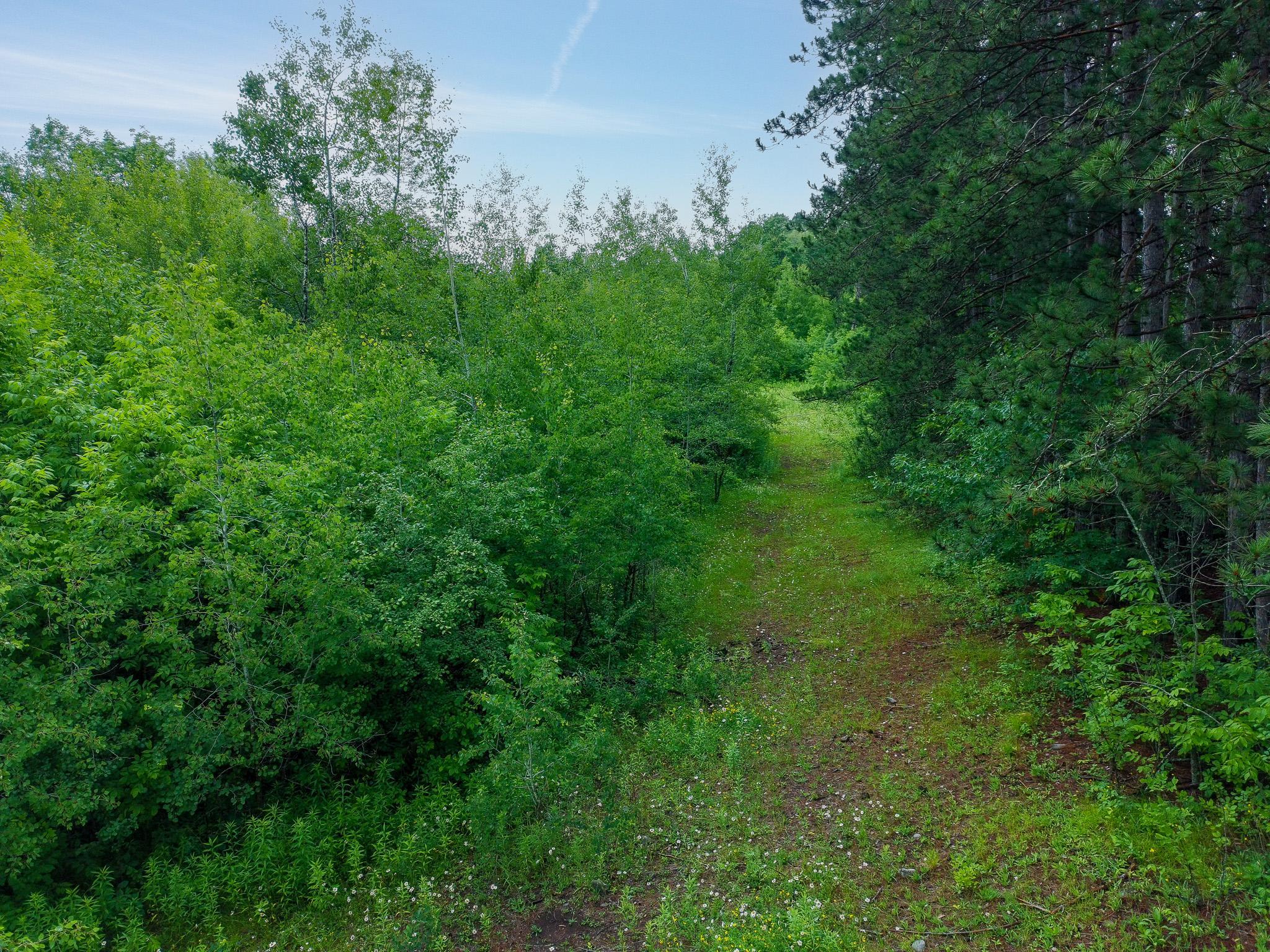 Tbd-2 North Riverside Road Moose Lake, MN 55767 - Photo 3 of 12