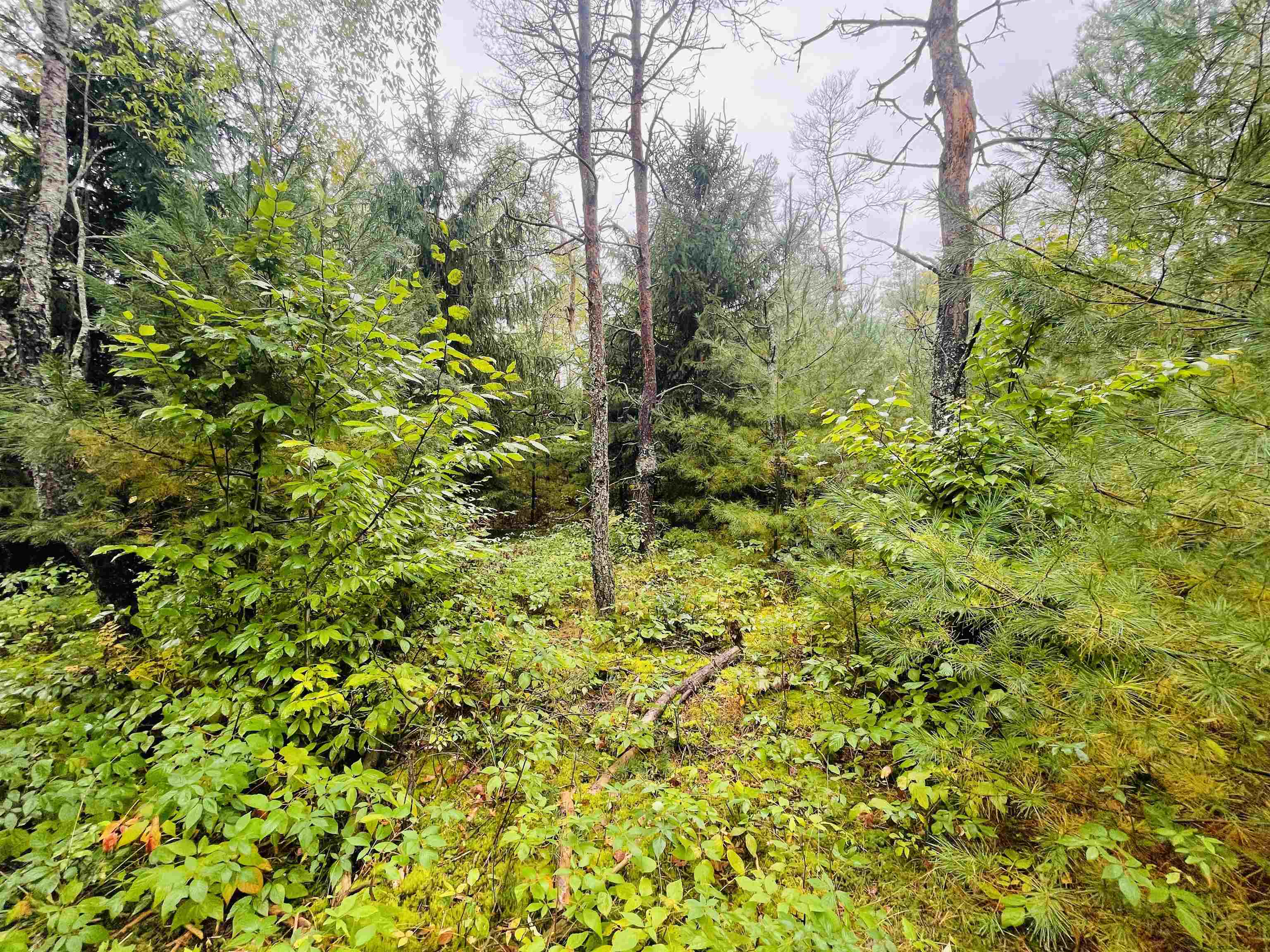 0 East 16 Road Manton, MI 49663 - Photo 3 of 3