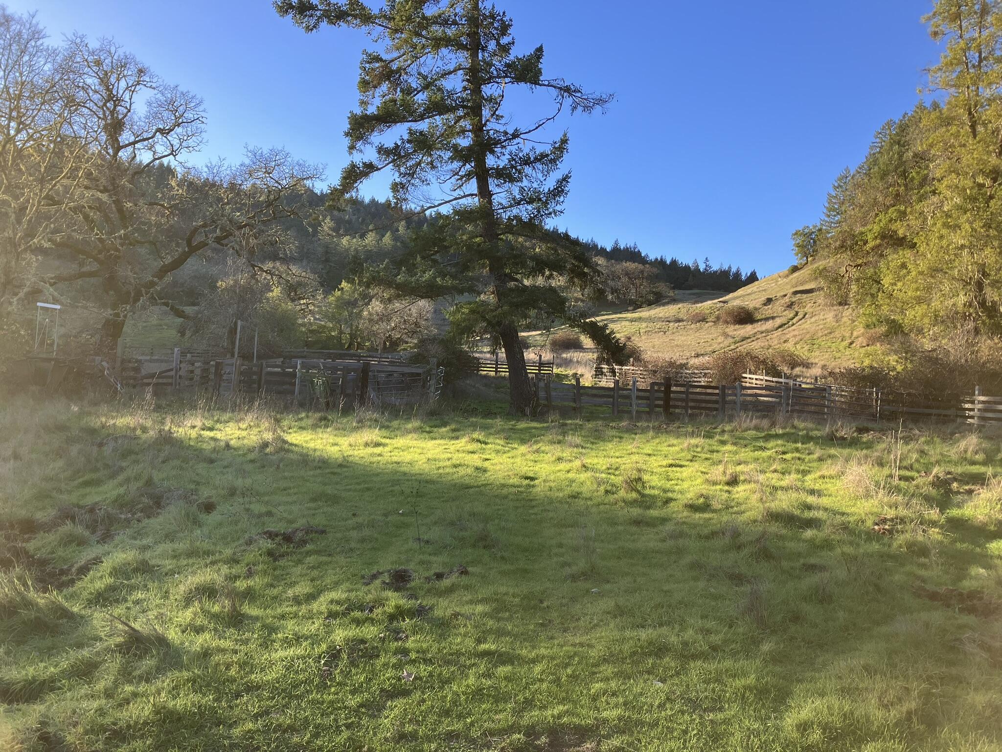 123 Cemetery Road Blocksburg, CA 95514 - Photo 35 of 36