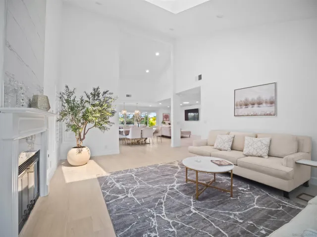 a living room with furniture potted plant and a fireplace