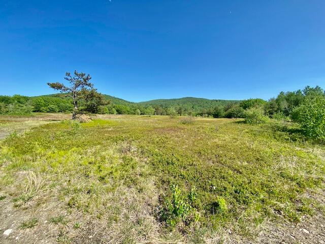 0 Brownfield Road Hiram, ME 04041 - Photo 14 of 19