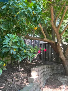 $899,000 | 2246 Bridgeport Way, Martinez, CA 94553