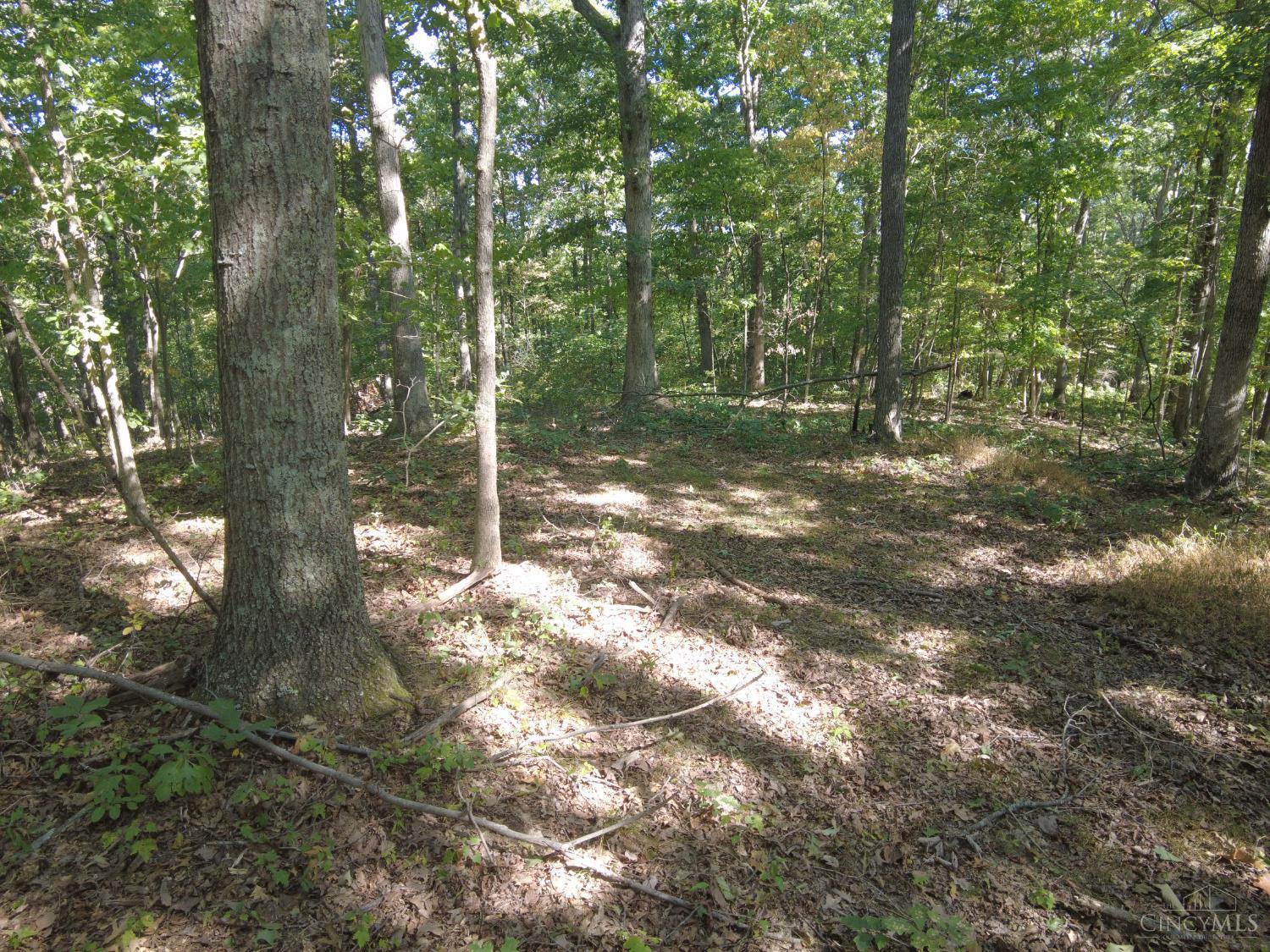 16 Black Hollow Road Peebles, OH 45660 - Photo 31 of 39