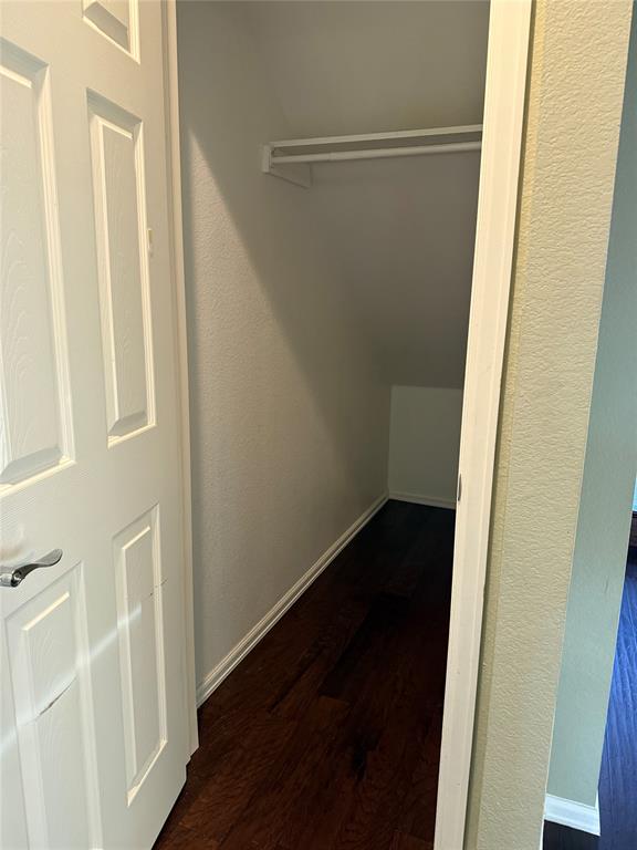 2828 Cedar Ridge Lane Fort Worth, TX 76177 - Photo 17 of 25 Under stair storage