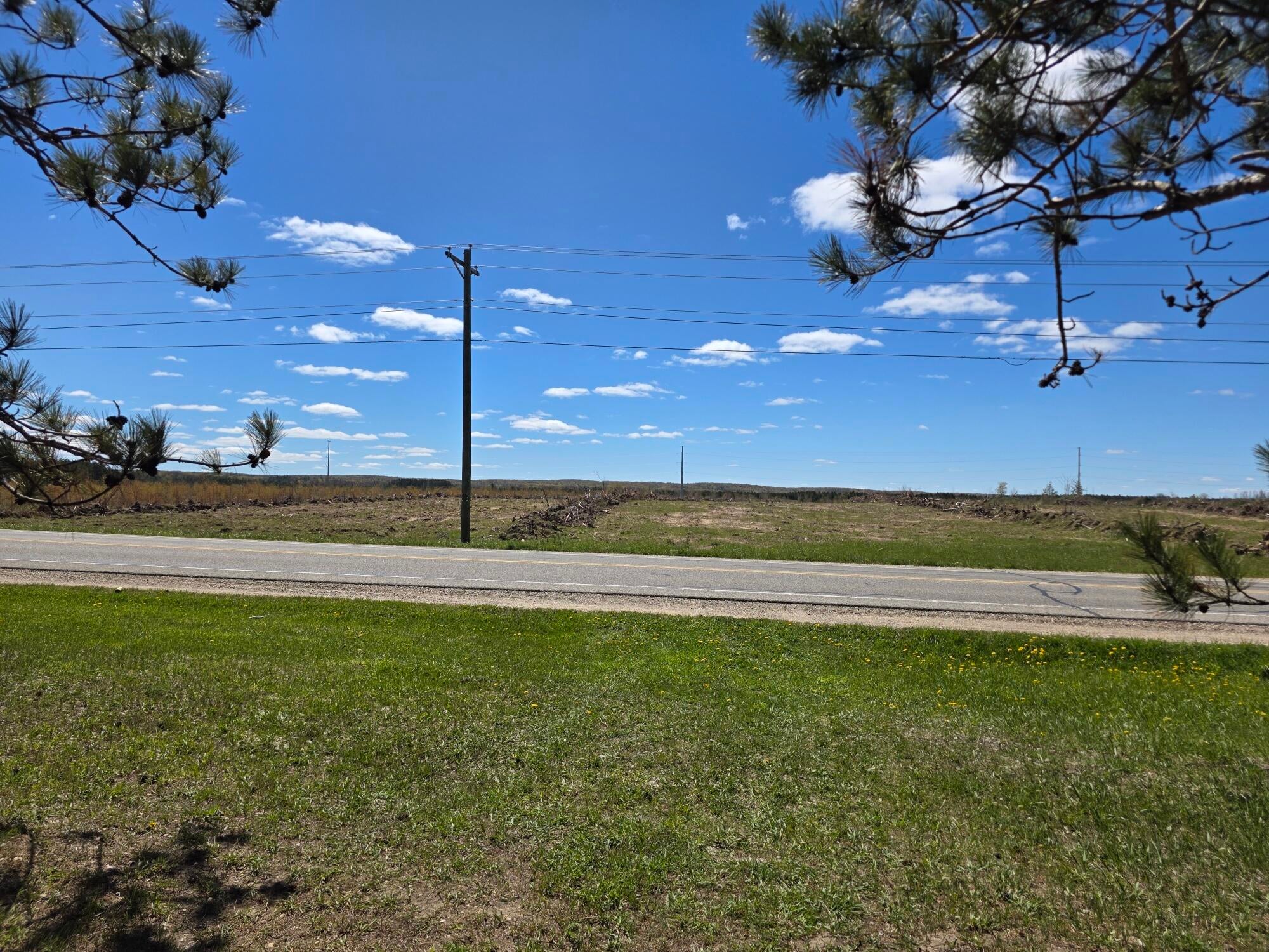 6523 Alba Road Elmira, MI 49730 - Photo 5 of 22 View across the street
