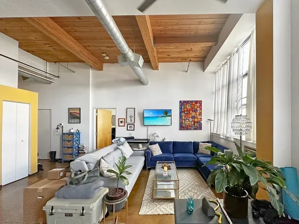 a living room with furniture and a potted plant