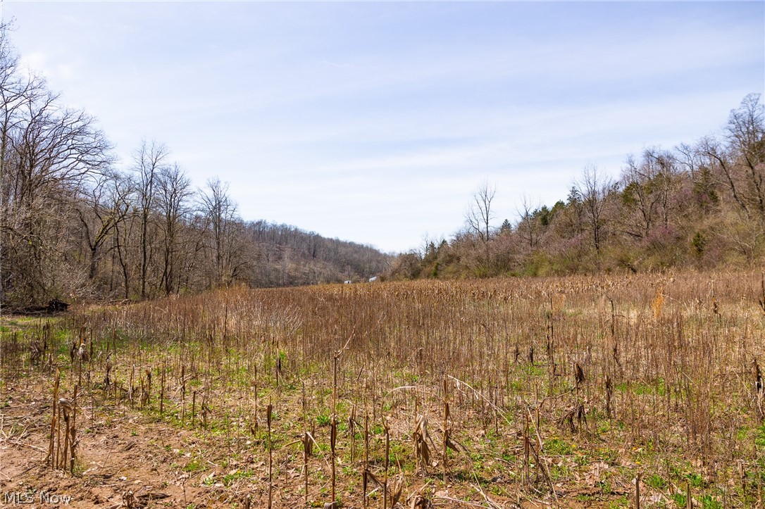 East Branch Road Lowell, OH 45744 - Photo 5 of 29