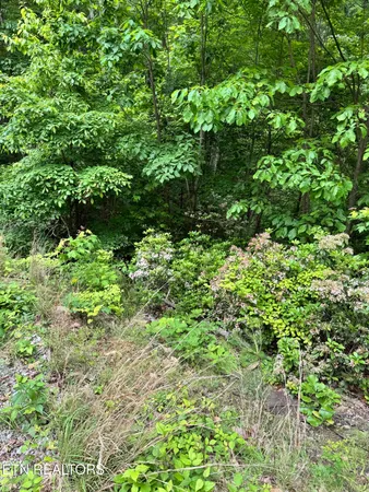 $249,000 | Goose Creek Road, Unit 1, Seymour, TN 37865